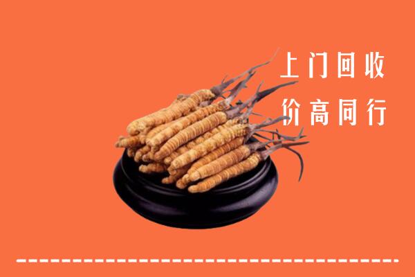 高价求购：日照回收散虫草